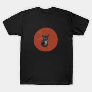 napping kitty T-Shirt